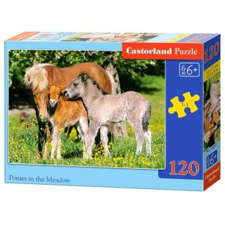 Puzzle Pony's in the Wei, 120pcs.