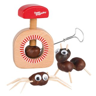 Peggy Diggledey Chestnut Drill