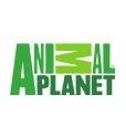 Animal Planet